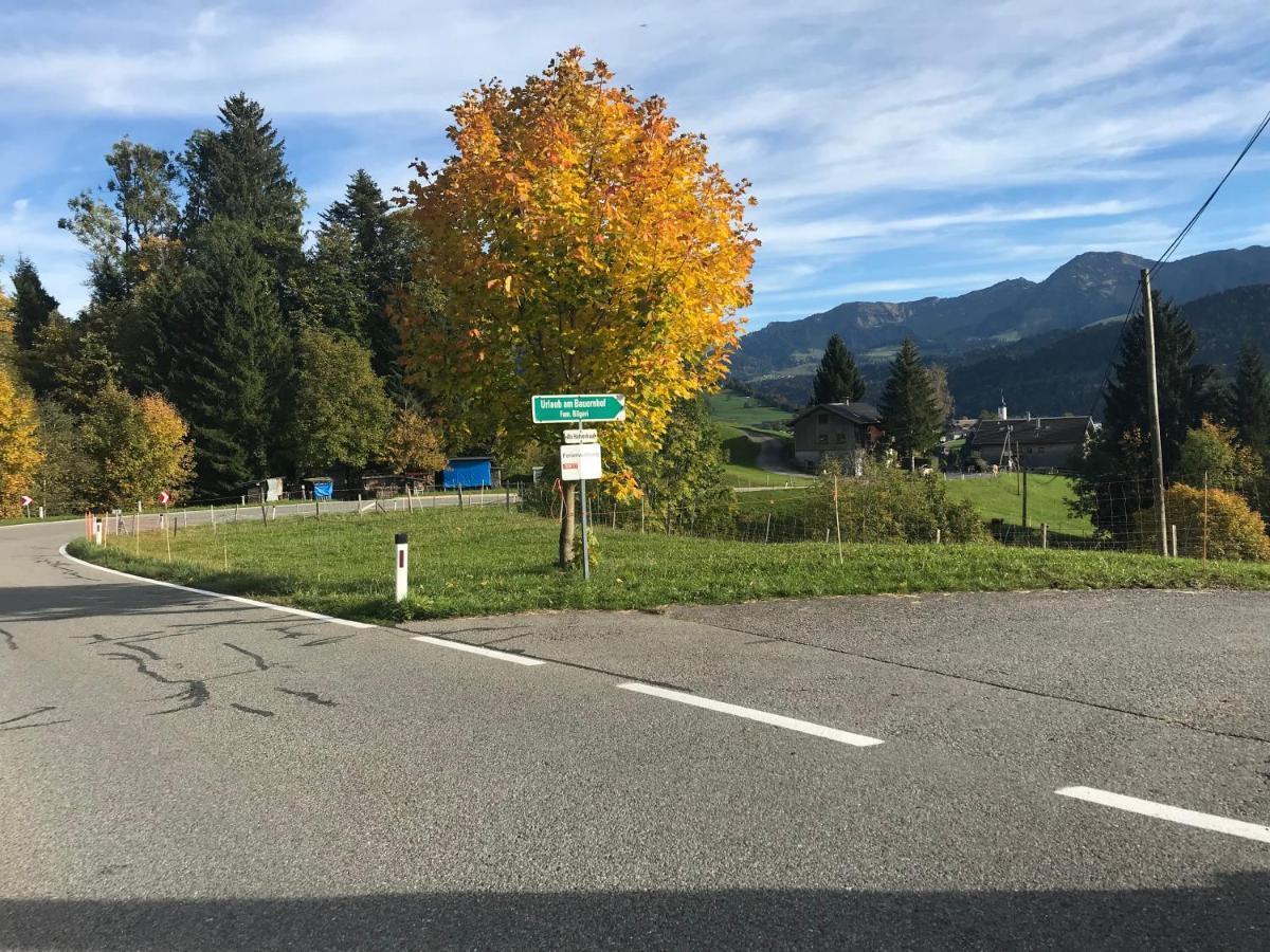 Bauernhof Bilgeri Villa Hittisau Eksteriør bilde