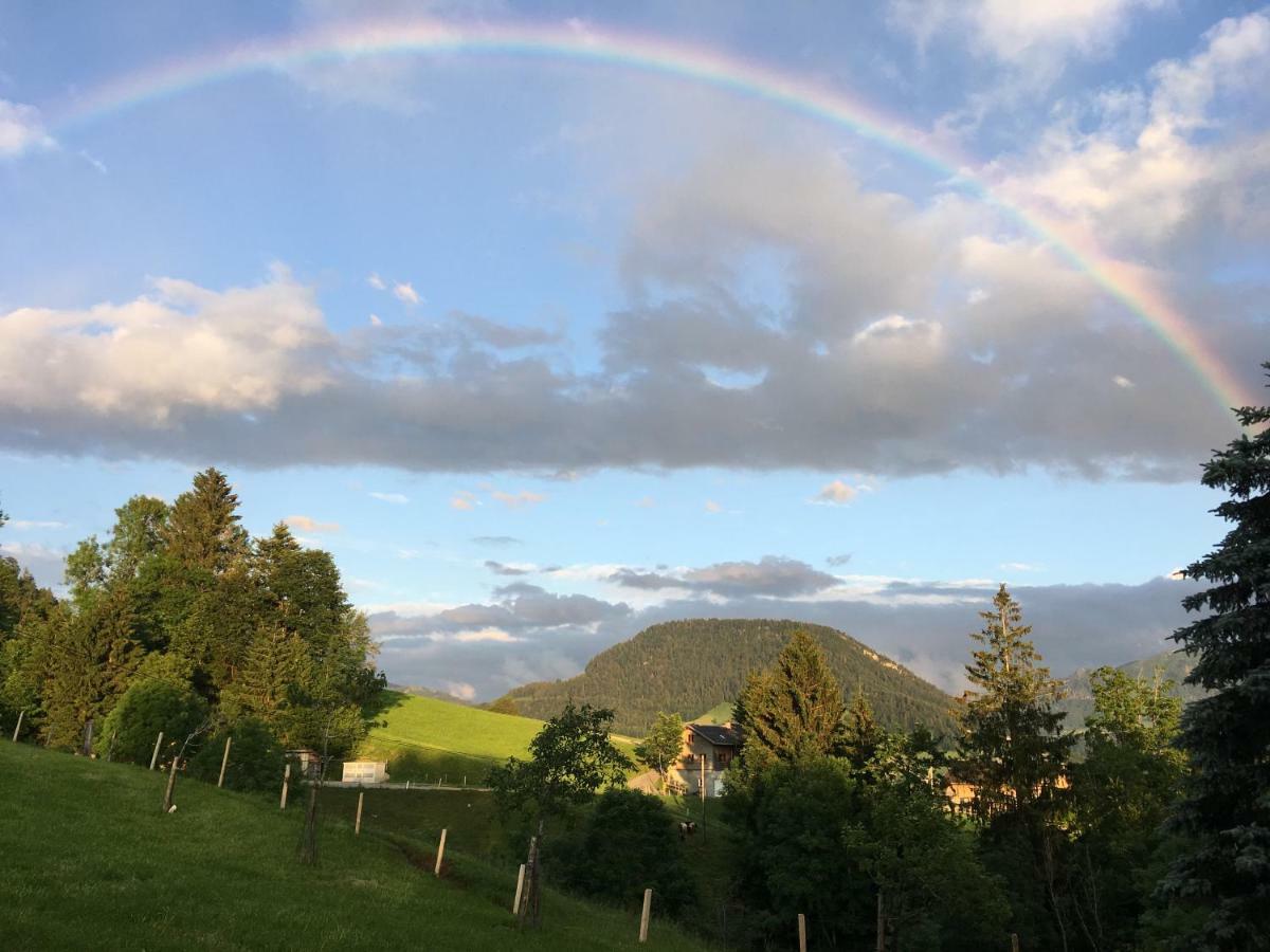 Bauernhof Bilgeri Villa Hittisau Eksteriør bilde